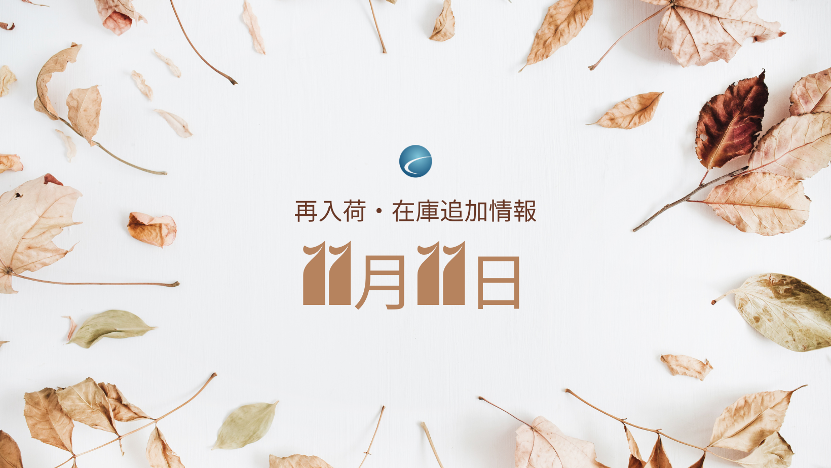 【再入荷・生体】2024年11月11日
