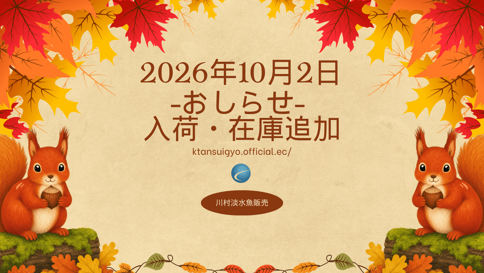 【入荷・生体】2026年10月2日