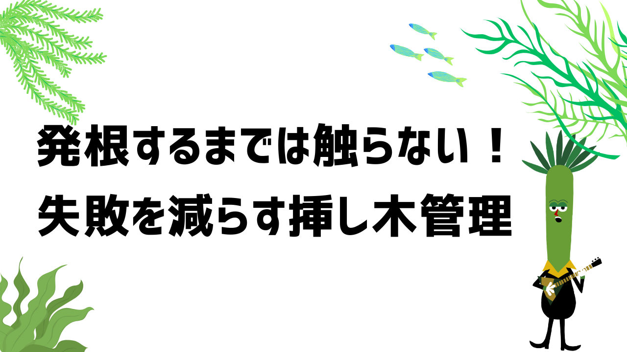 発根するまでは触らない?失敗を減らす挿し木管理