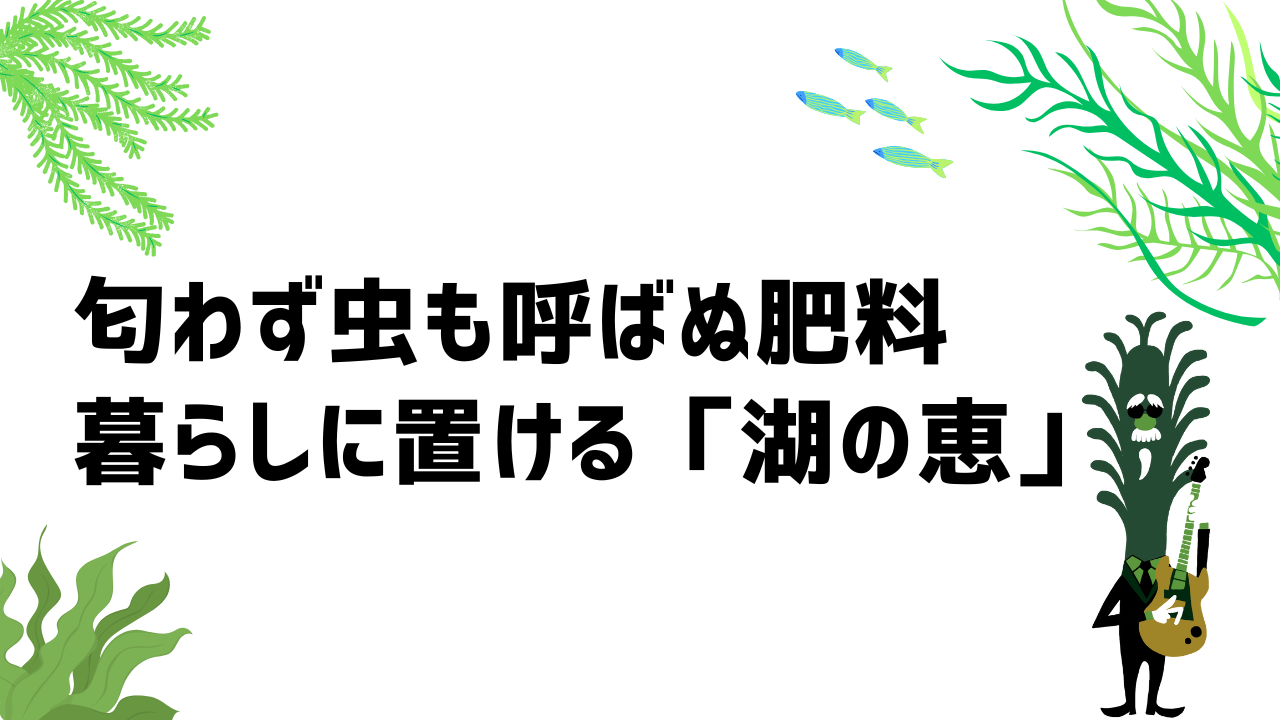 匂わず虫も呼ばぬ肥料 ― 暮らしに置ける「湖の恵」