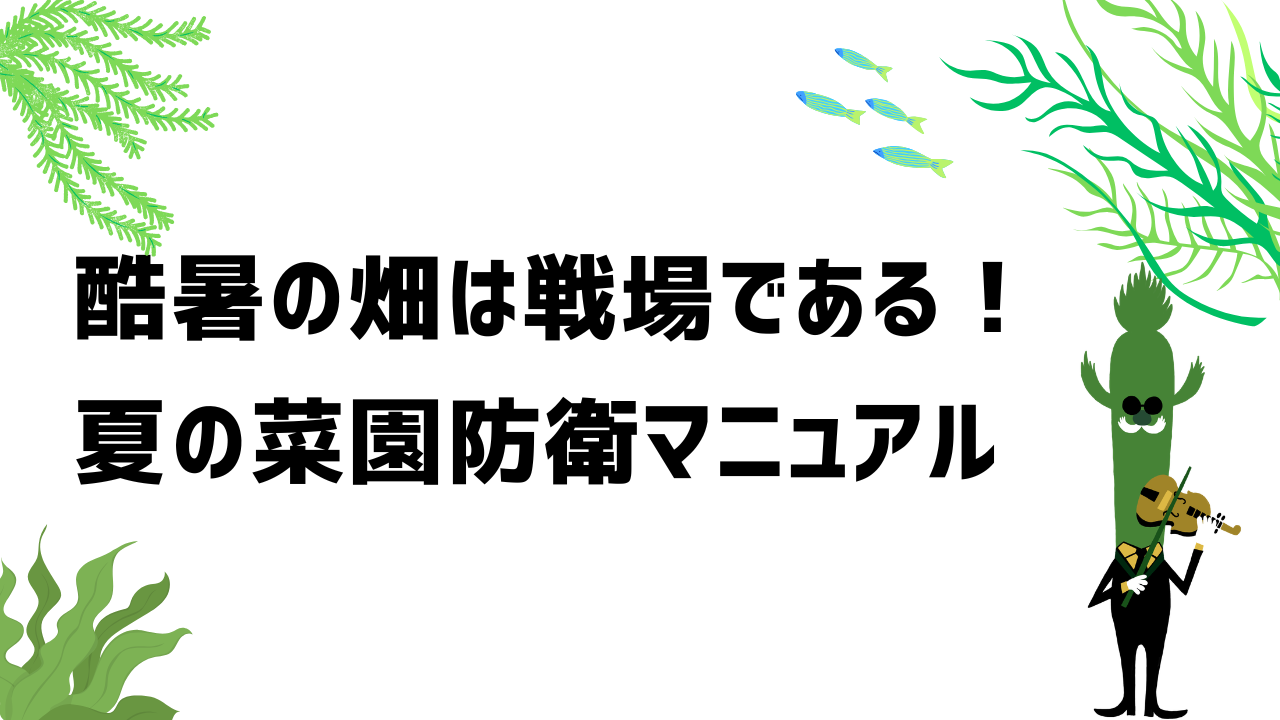 酷暑の畑は戦場である!夏の菜園防衛マニュアル