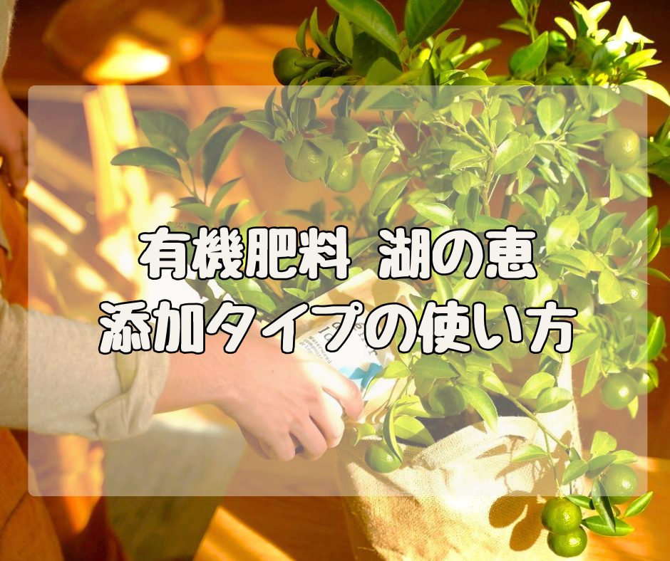 ボタニカルなオーガニック肥料「湖の恵」　添加タイプ（350g）の使い方