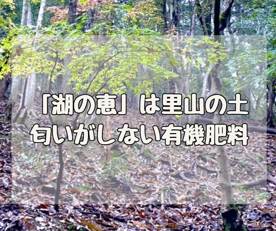 「湖の恵」は近江の里山の土！ 嫌な匂いがしない有機肥料の作り方