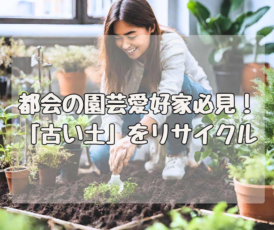 都会の園芸愛好家さん必見！ 「湖の恵」で古い土を100％リサイクル