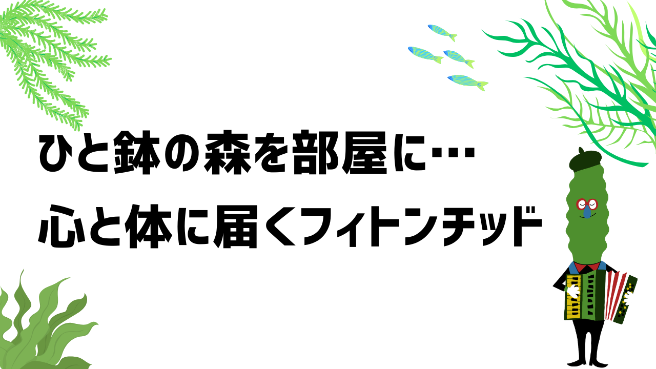 ひと鉢の森を部屋に…心と体に届くフィトンチッド