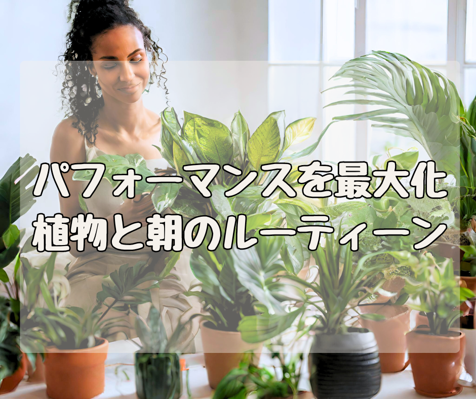 自分のパフォーマンスを最大化！ 植物を愛でる朝のルーティーン