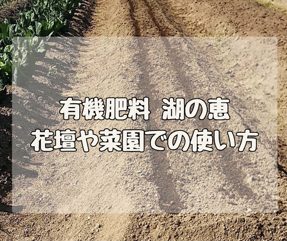 ボタニカルなオーガニック肥料「湖の恵」　花壇や家庭菜園での使い方