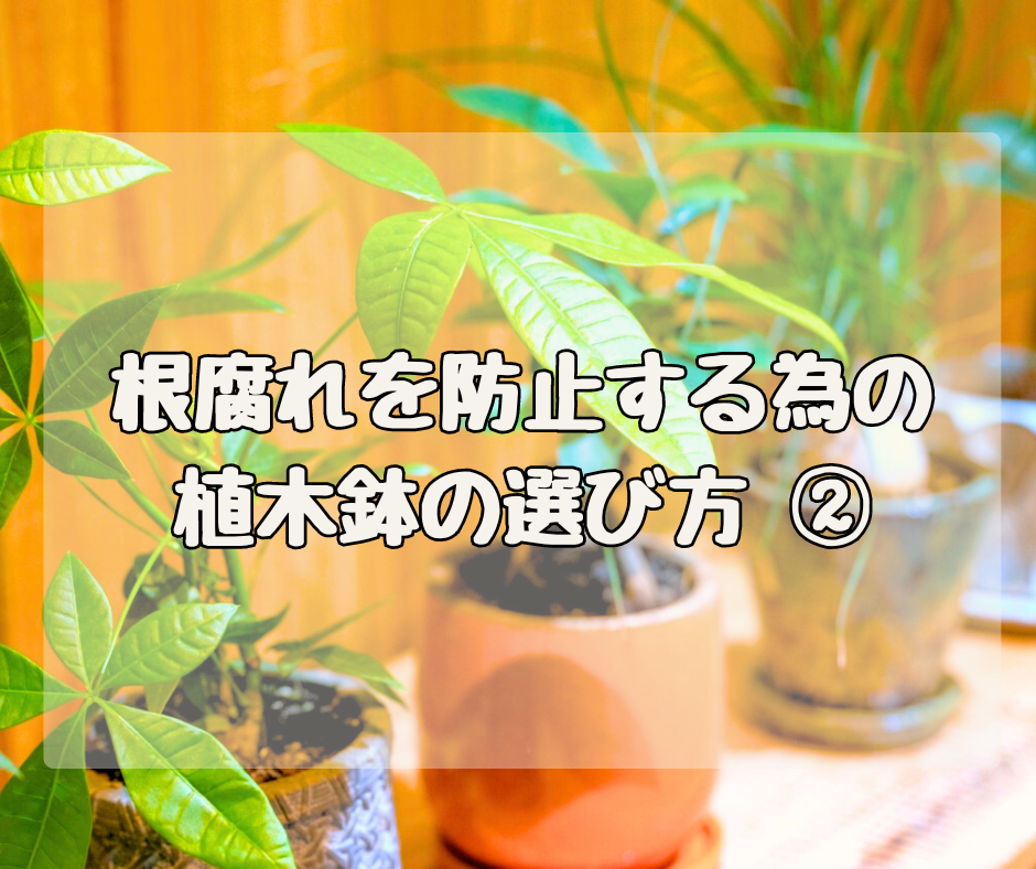根腐れを予防するための “植木鉢”の選び方～素材編～