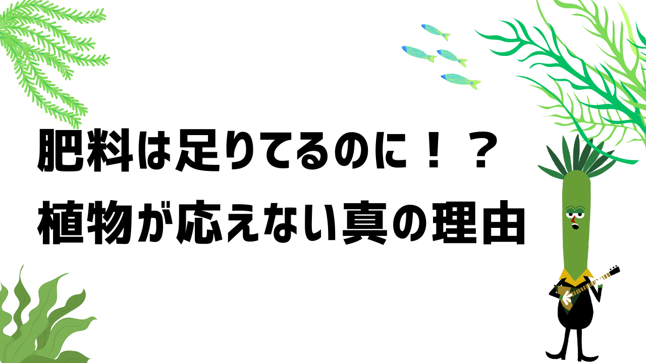 肥料は足りてるのに？植物が応えない真の理由