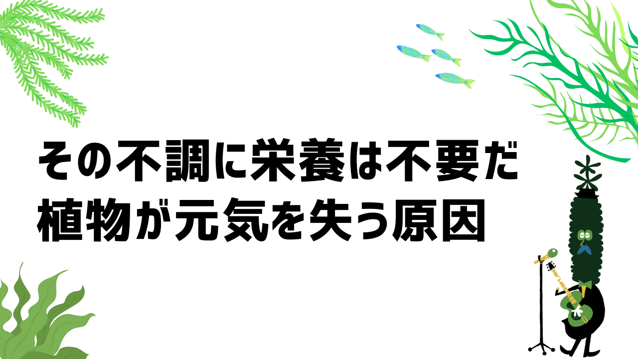 その不調に栄養は不要だ|植物が元気を失う原因