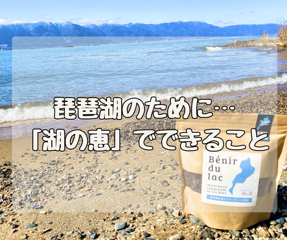 遠く離れた“琵琶湖”のために… 「湖の恵シリーズ」でできること