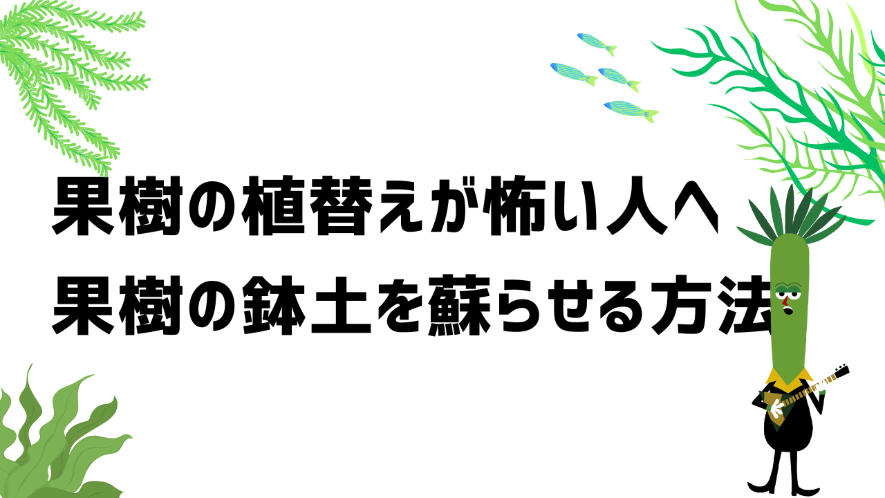 果樹の植え替えが怖い人へ。果樹の鉢土を蘇らせる方法