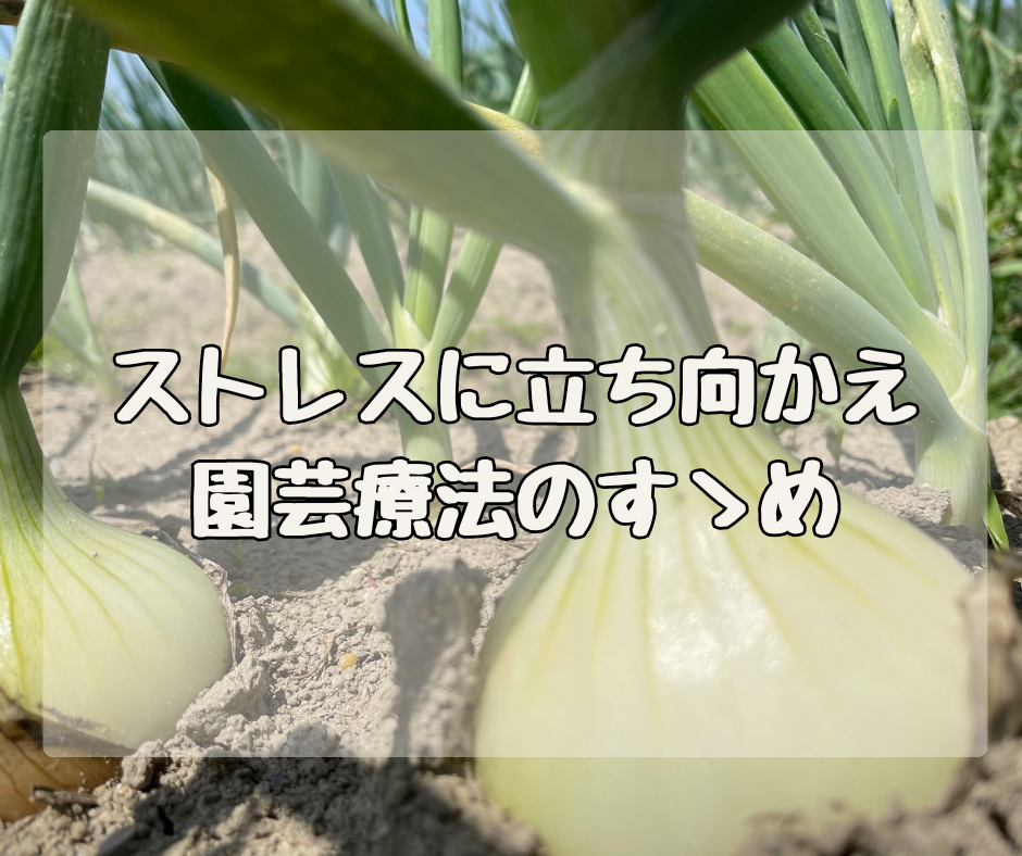 ストレスでメンタルがやばい！？ １鉢から始める園芸療法のすゝめ