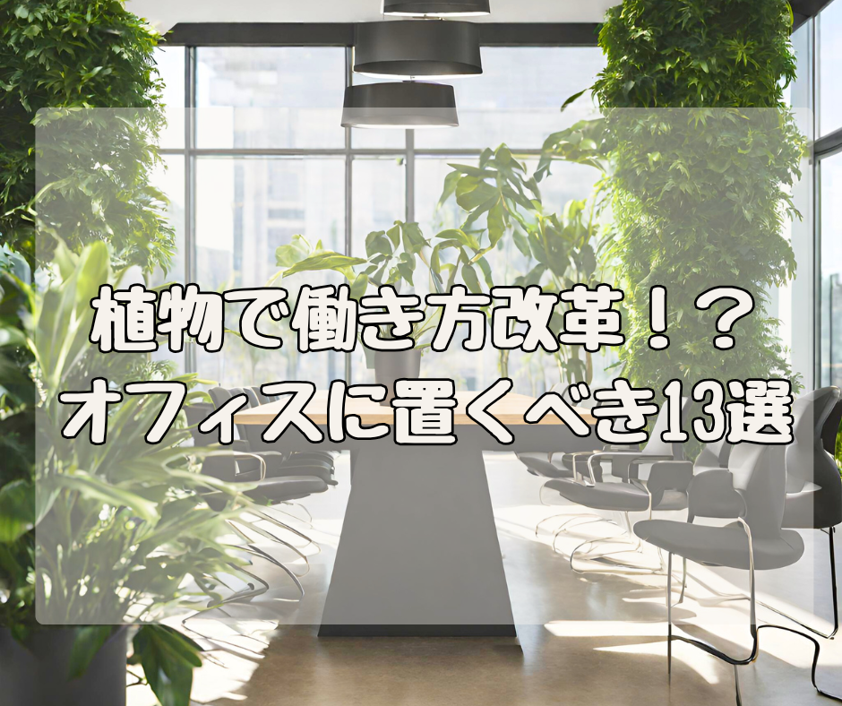 観葉植物で働き方改革！？ オフィスに置くべき観葉植物１３選