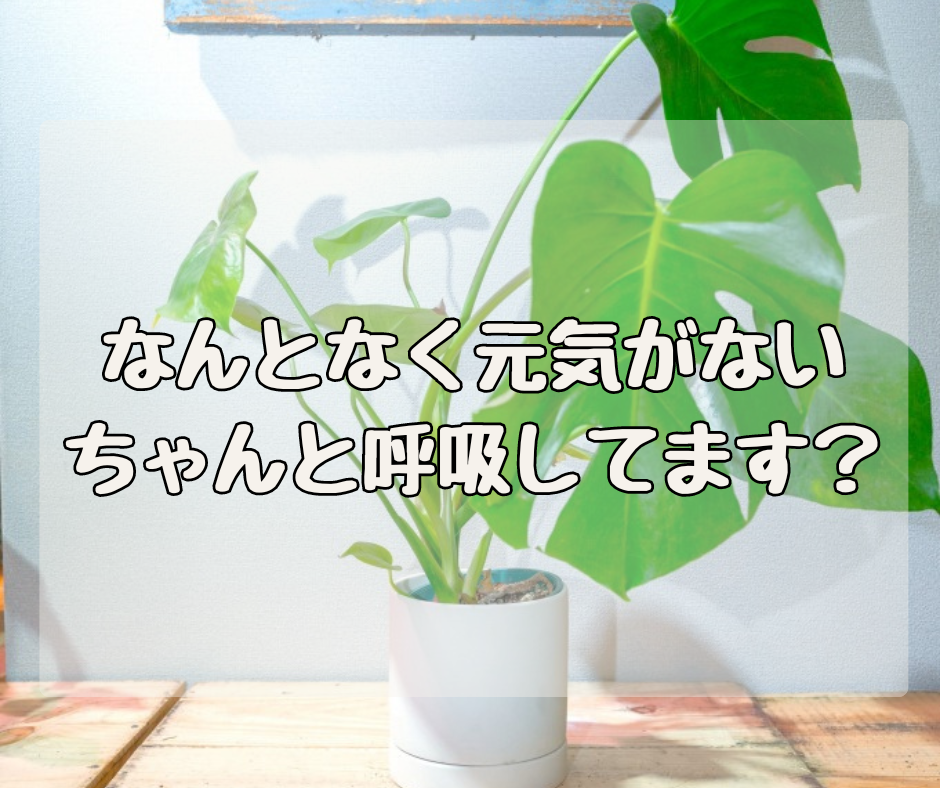 何となく元気がない？ ちゃんと「呼吸」してますか？