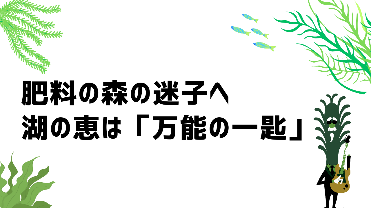 肥料の森で迷うあなたへ──“湖の恵”という万能の一匙