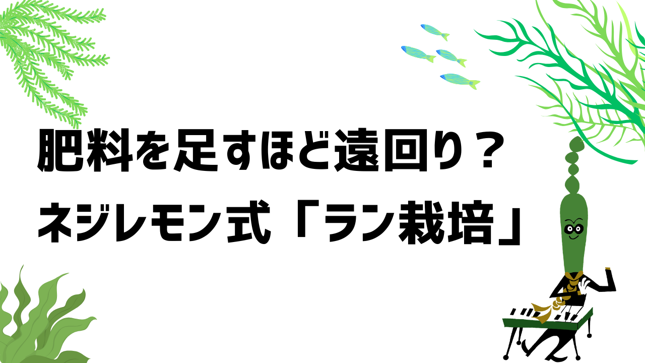 肥料を足すほど遠回り?ネジレモン式「ラン栽培」