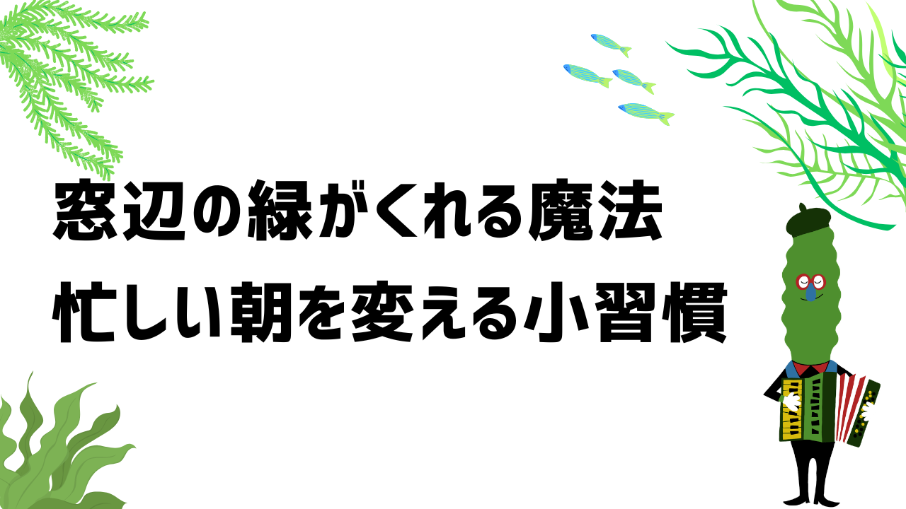 窓辺の緑がくれる魔法 ― 忙しい朝を変える小習慣