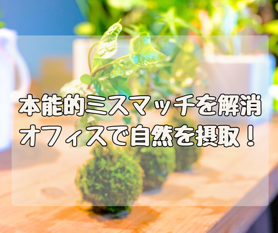 本能的ミスマッチを解消！ オフィスで手軽に自然を摂取しよう