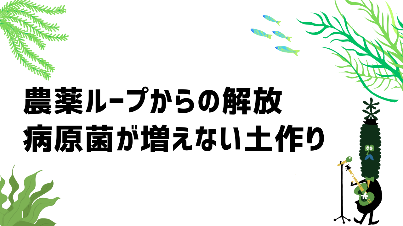 農薬ループからの解放/病原菌が増えない土作り