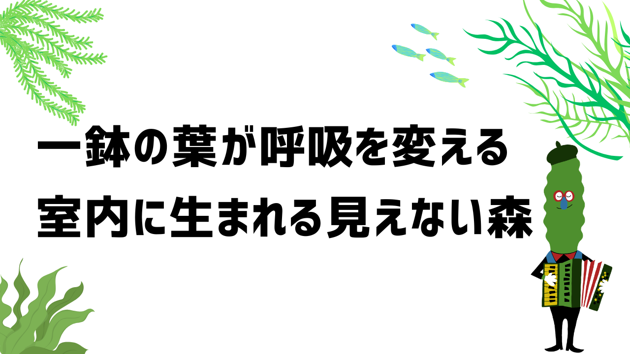 一鉢の葉が、呼吸を変える—室内に生まれる“見えない森”