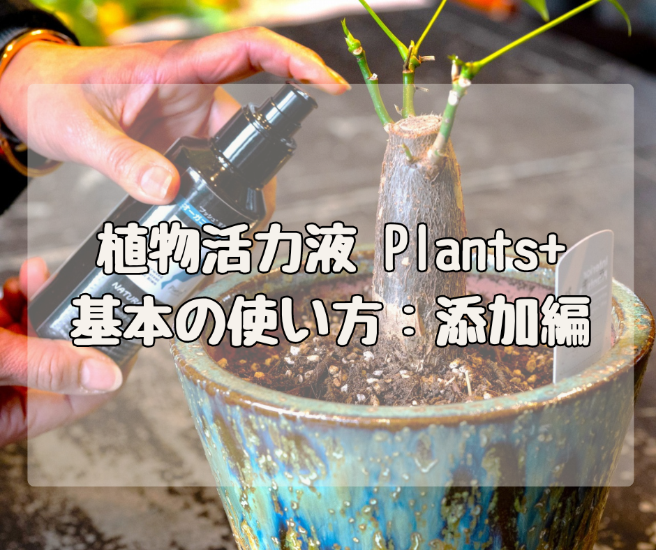 ボタニカルな植物活力液「Plants+」 基本の使い方【添加編】