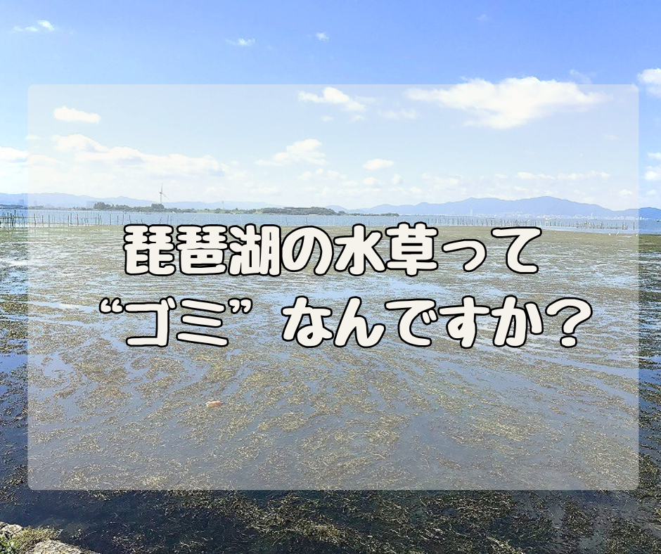 琵琶湖の水草ってゴミなんですか？　～湖の恵はリサイクル事業ではありません～
