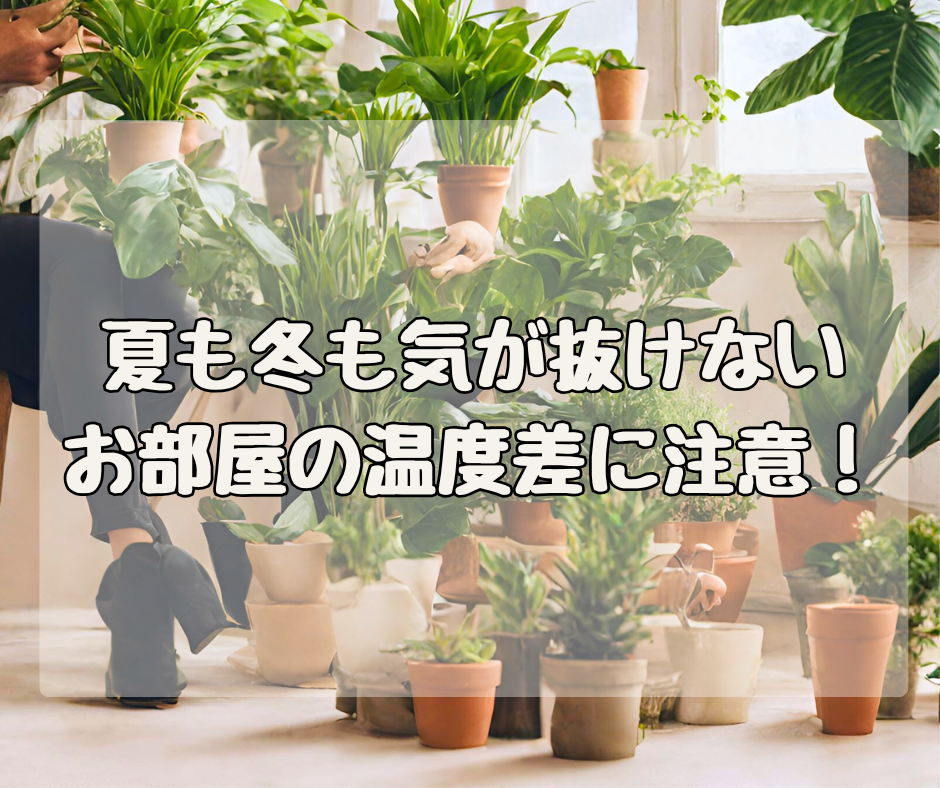 夏も冬も、気が抜けない！？ お部屋の“温度差”に要注意！