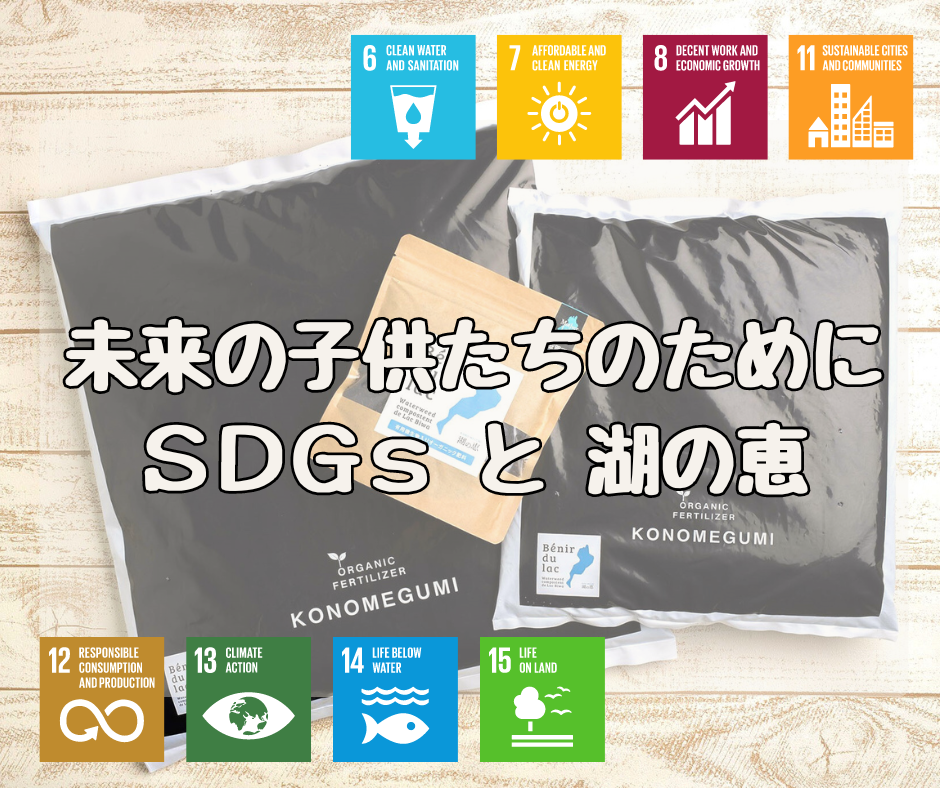 未来の子供たちの為に… 「SDGs17の目標」と「湖の恵」のお話