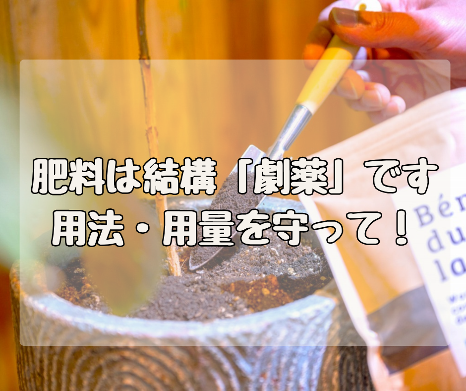 肥料は結構「劇薬」です　用法・用量を守りましょう！