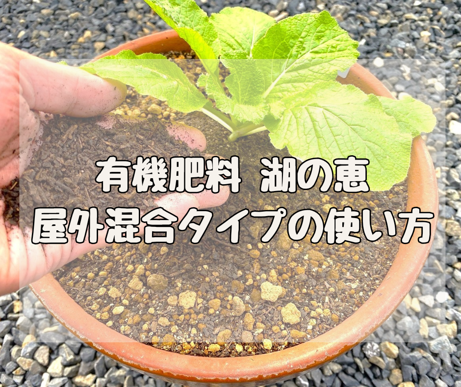 ボタニカルなオーガニック肥料「湖の恵」　屋外混合タイプ（5kg）の使い方