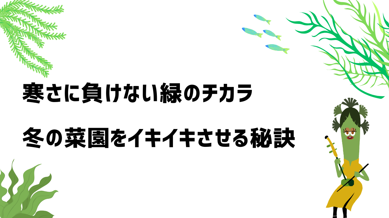 寒さに負けない緑のチカラ。冬の菜園をイキイキさせる秘訣
