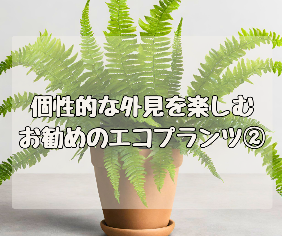 個性的な見た目を楽しむ！ NASAが認めたエコプランツ その②
