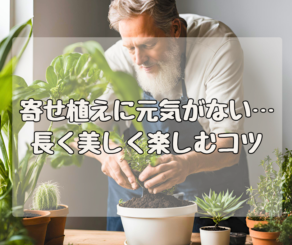 寄せ植えに元気がない… 長く、美しく、楽しむ３つのコツ