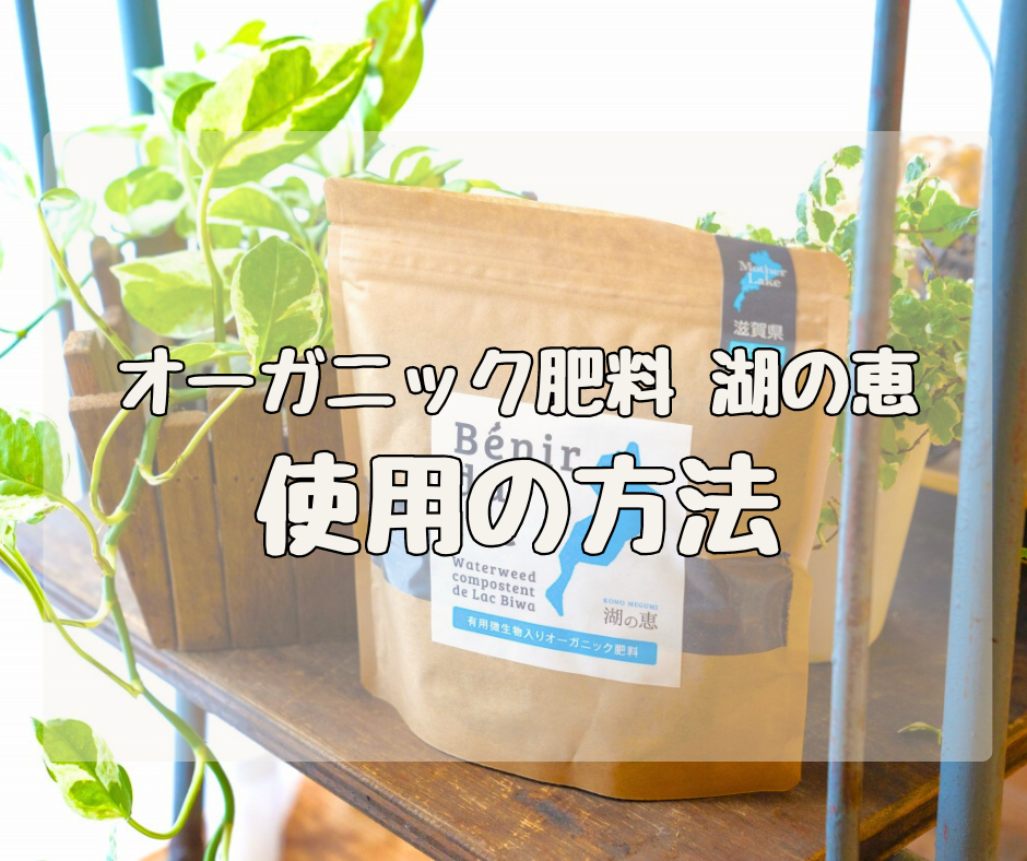 【Q&A】オーガニック肥料 湖の恵　「使用の方法」について