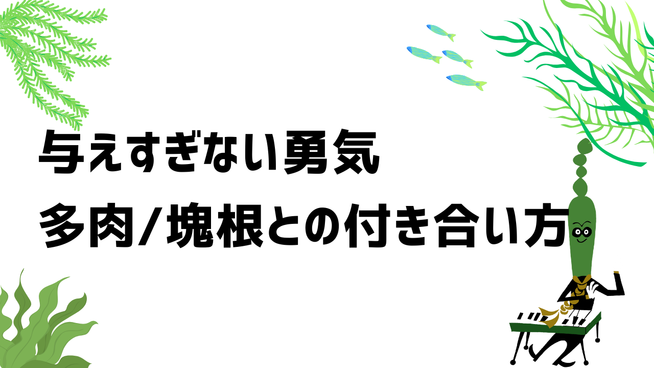 与えすぎない勇気。多肉/塊根との付き合い方