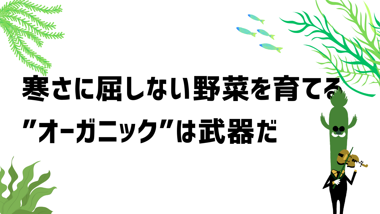 寒さに屈しない野菜を育てる。オーガニックは武器だ。