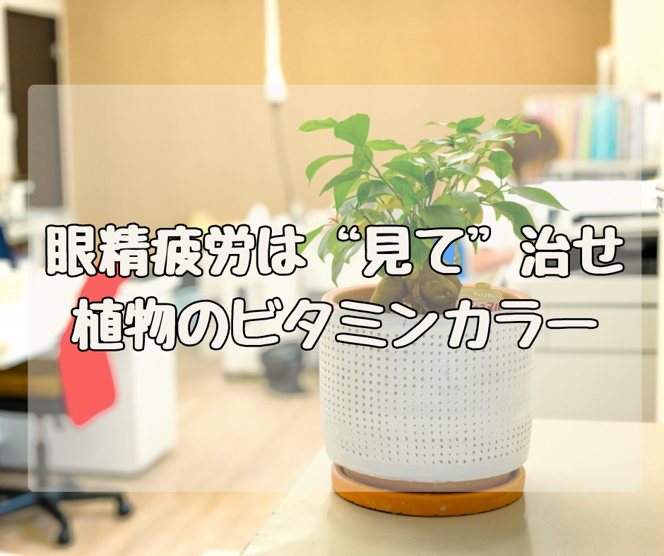 眼精疲労は見て治せ！？ 観葉植物の「ビタミンカラー効果」