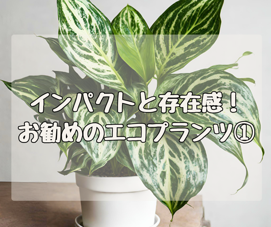 インパクトと存在感が抜群！ NASAが認めたエコプランツ その①