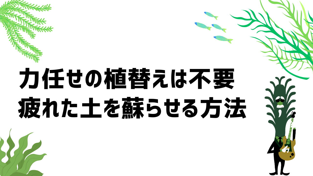 力任せの植替えは不要｜疲れた土を甦らせる方法