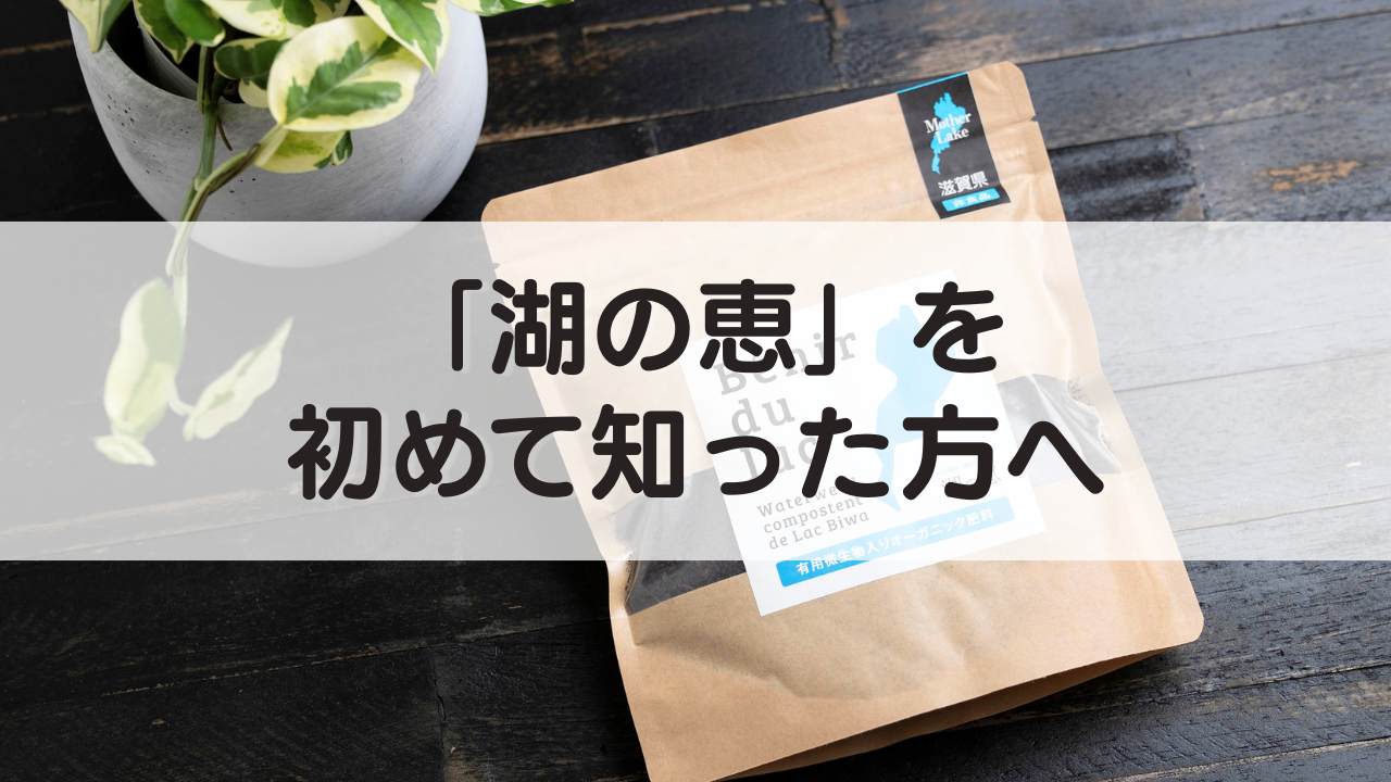 「湖の恵」を初めて知った方へ
