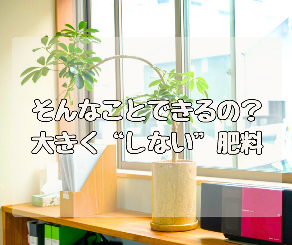 そんなことってできるの？ 植物を大きく“しない”肥料！？