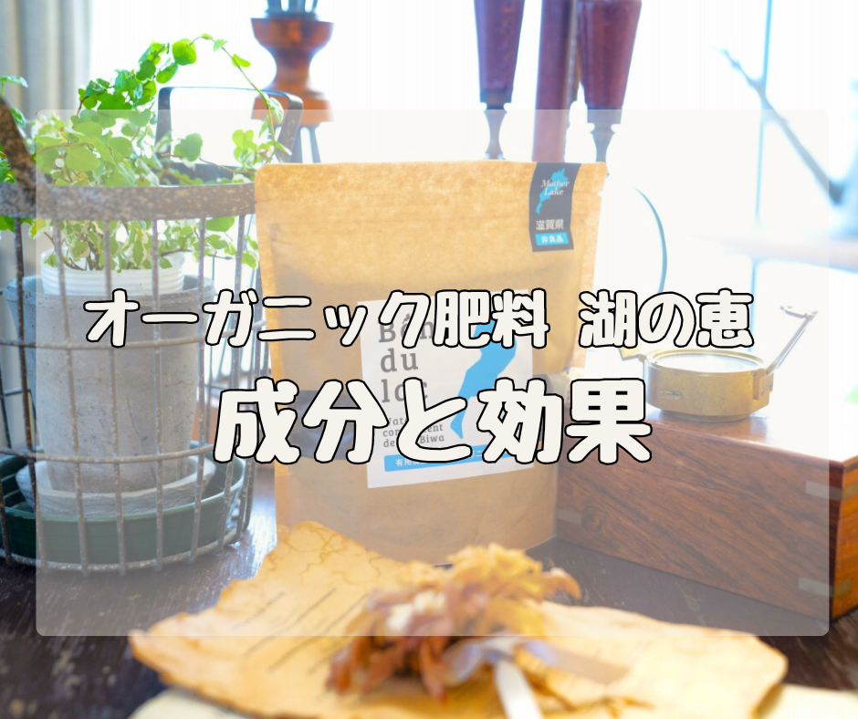 【Q&A】オーガニック肥料 湖の恵　「成分と効果」について