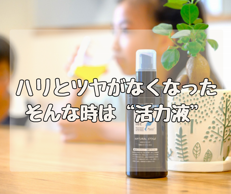 植物にハリつやがなくなった！？ そんな時は肥料じゃなくて活力液ですよ