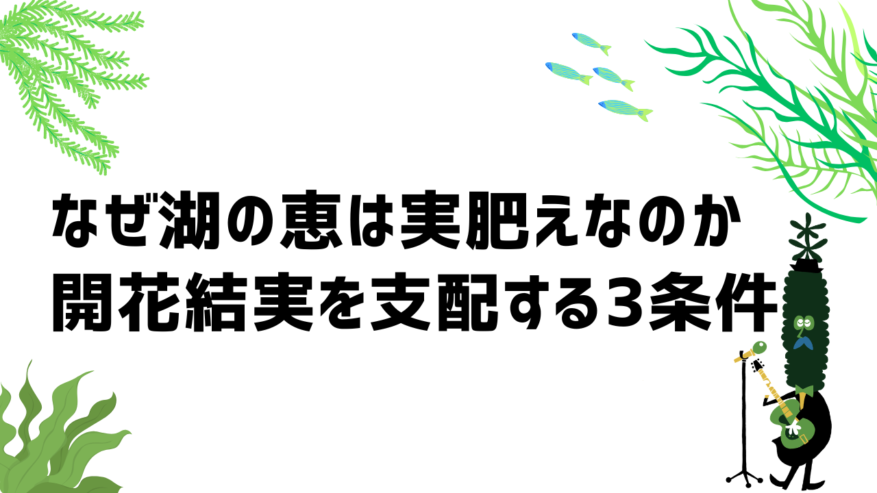 なぜ「湖の恵」は実肥えなのか—開花結実を支配する3つの条件