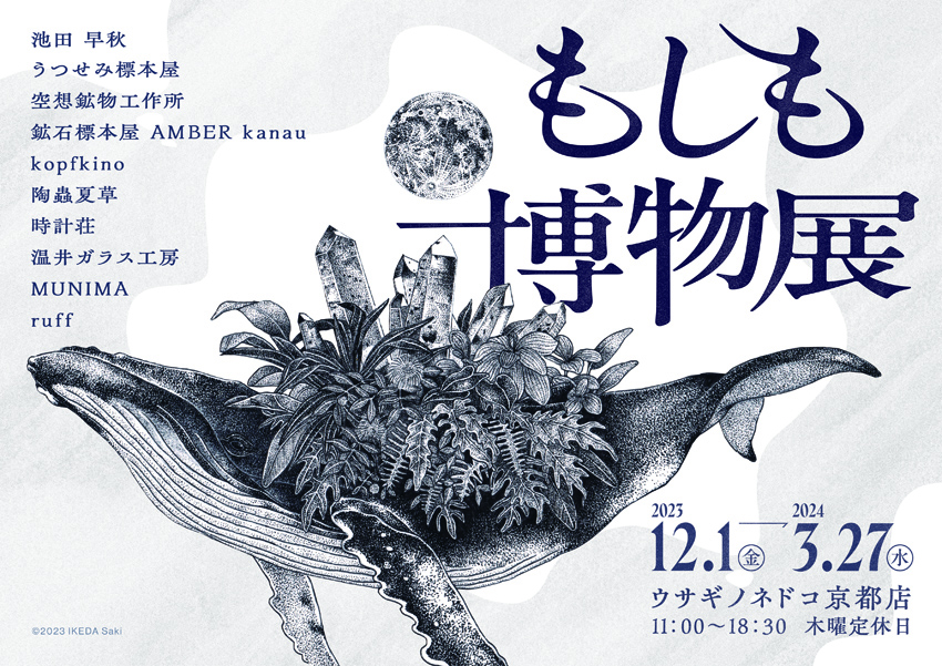 ウサギノネドコ京都店「もしも博物展」（2023.12.1-2024.3.27）