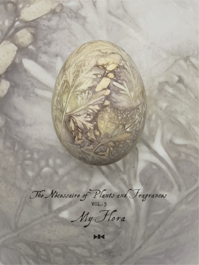 植物と香りのネセセール　（2025.11.19 - 11.24 / 霧とリボン オンライン展覧会）