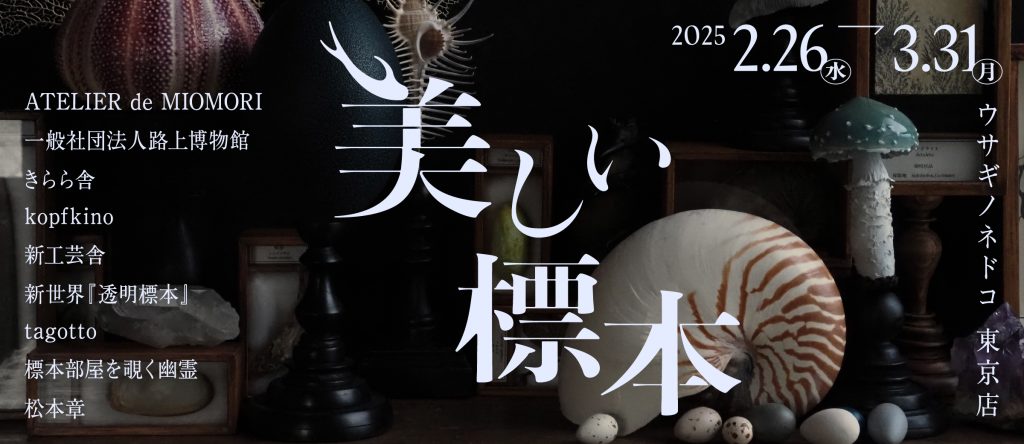 ウサギノネドコ東京店「美しい標本」フェア（2025.2.26 - 3.31 / 東京）