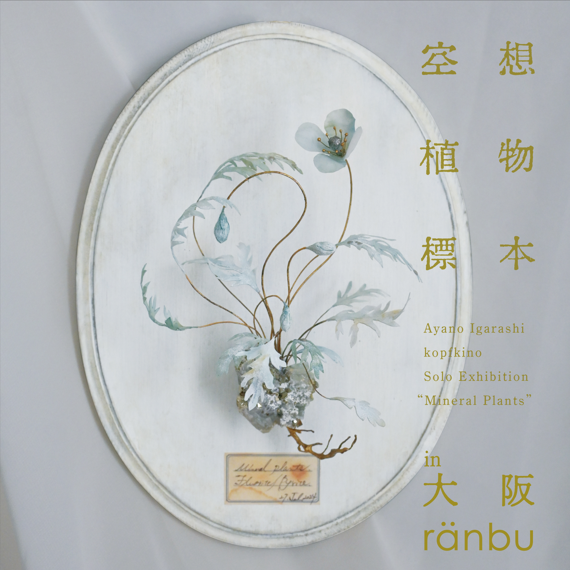 ranbu　個展　「空想植物標本」（2024.9.4-2024.9.16)