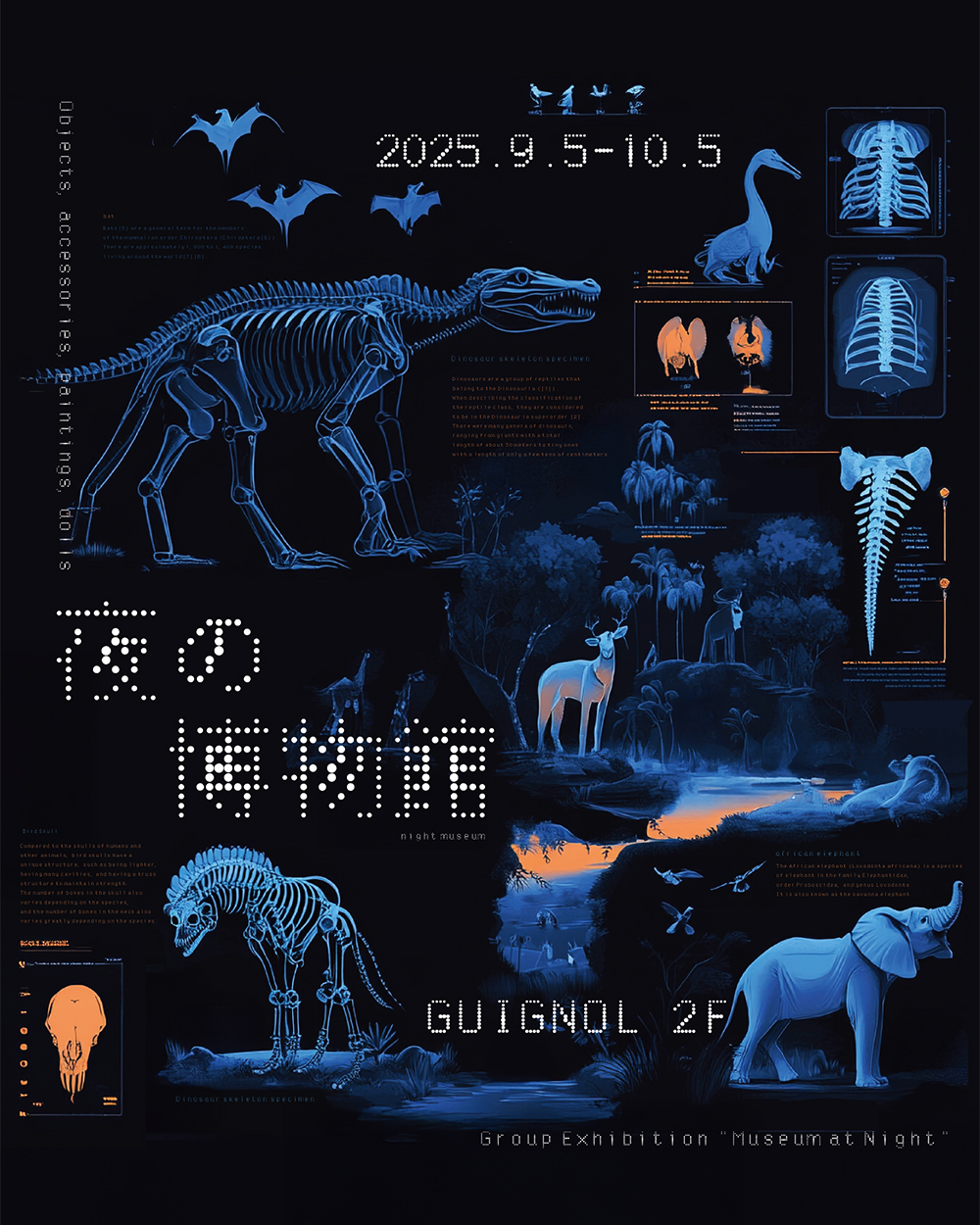 ギニョール 企画展「夜の博物館展」（2025.9.5-10.5 / 大阪）